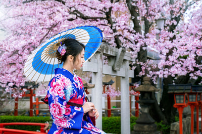 Kyoto 1 Day Guided Tour